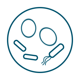 Functional-Microbiomics_Mikroben