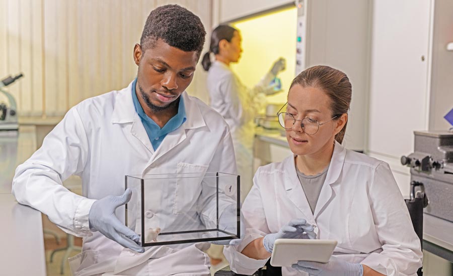 mouse model for fatty liver disease