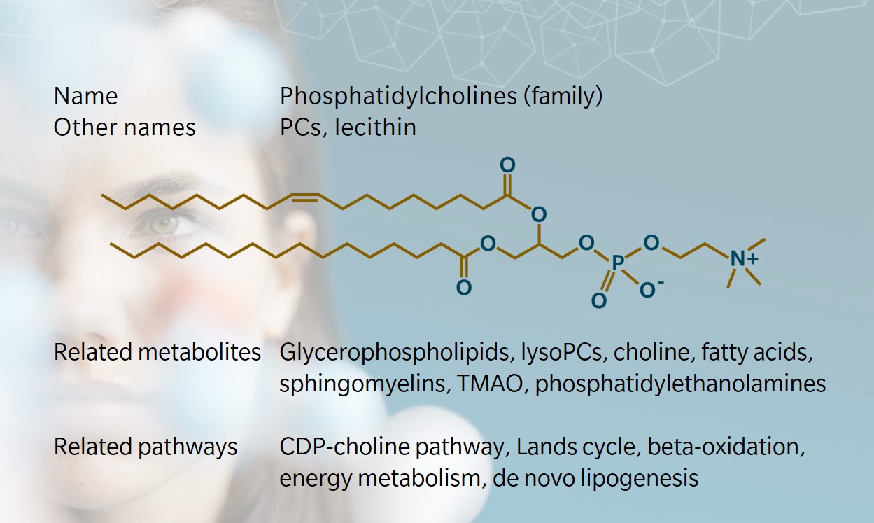 Phosphatidylcholines – Metabolite of the month
