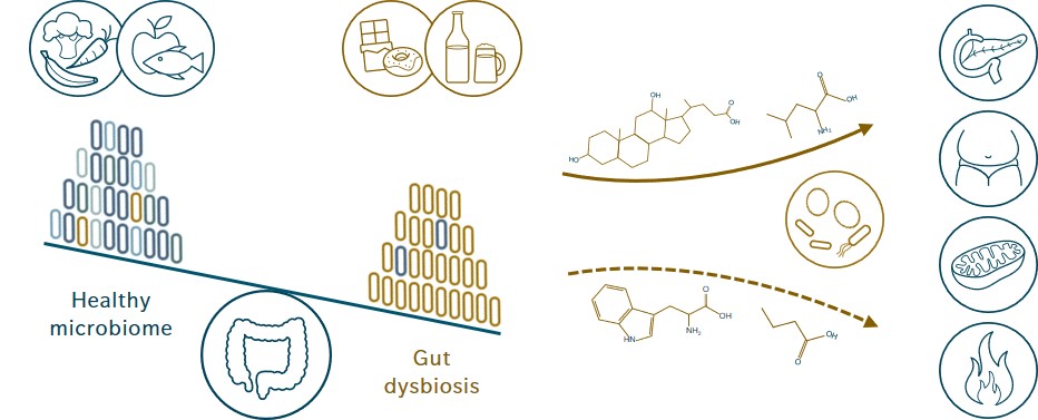 microbiome-influences-health