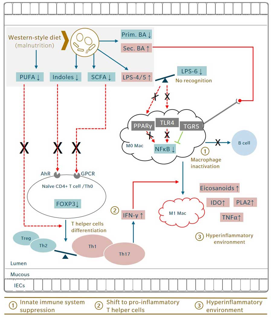 microbiome-primes-autoimmunity