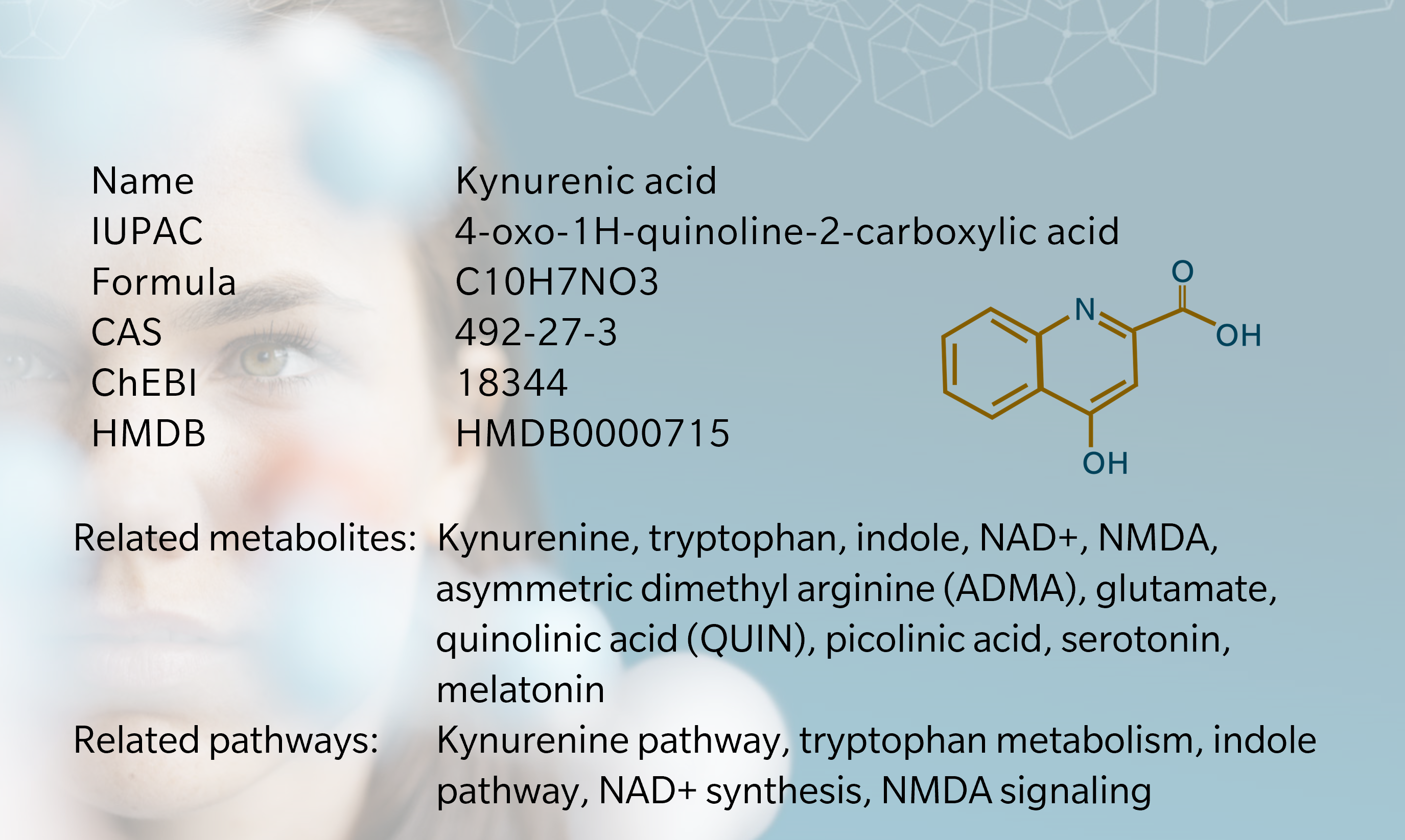 Kynurenic acid – A neuroprotective metabolite with key roles in brain health and immune function