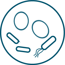 Quantitative profiling