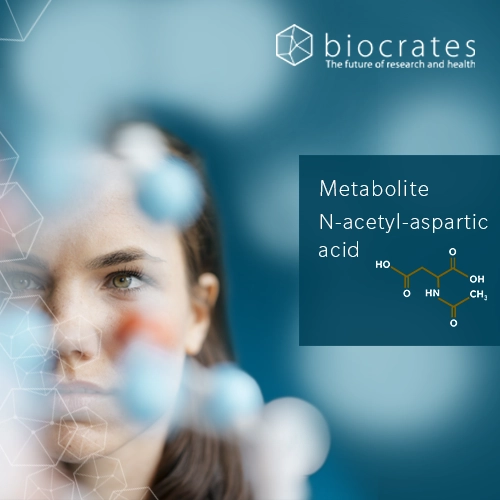 N-acetyl-aspartic acid (AA)